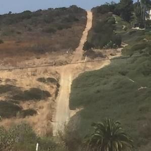 Meet your Posher, Rose